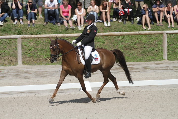 IMG_1903_resize.JPG