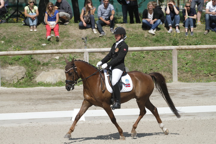 IMG_1905_resize.JPG