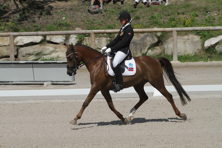 IMG_1908_resize.JPG