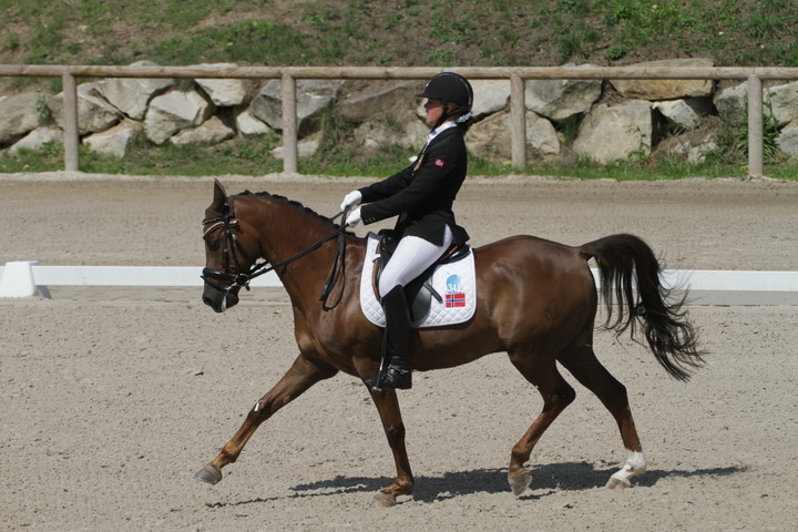 IMG_1916_resize.JPG