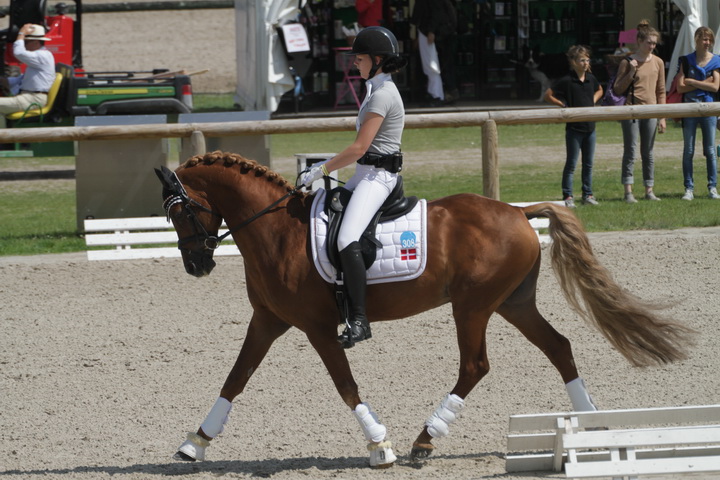 IMG_1920_resize.JPG