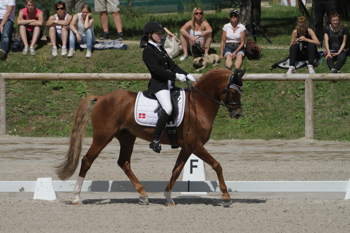 IMG_1938_resize.JPG