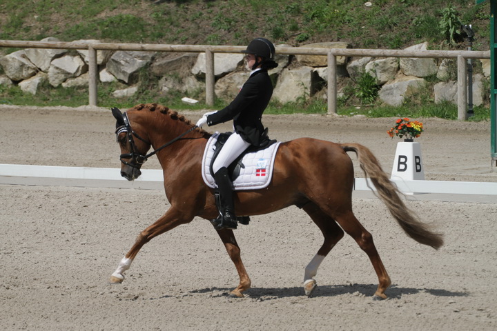 IMG_1956_resize.JPG