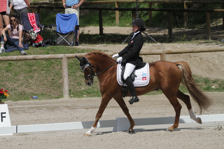 IMG_1964_resize.JPG