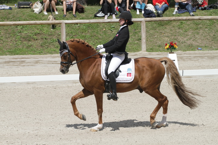 IMG_1988_resize.JPG
