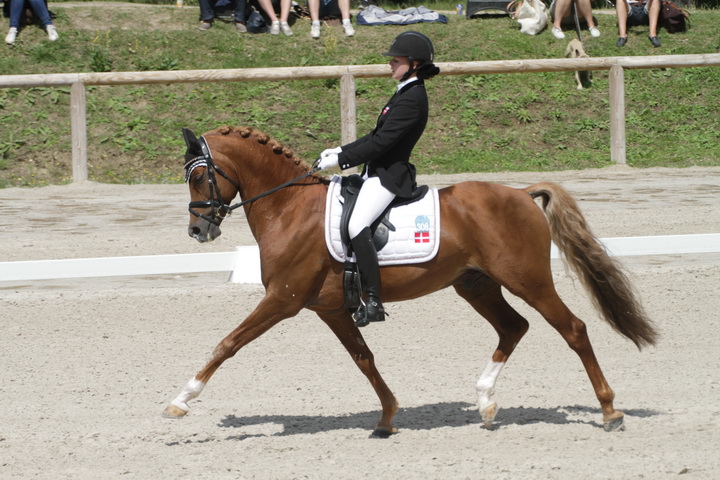 IMG_1989_resize.JPG