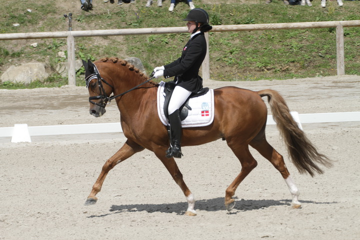IMG_1990_resize.JPG