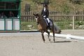 IMG_1699_resize