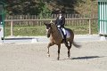 IMG_1704_resize