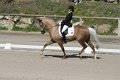 IMG_1716_resize