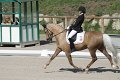 IMG_1720_resize