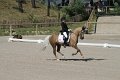 IMG_1737_resize