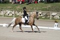 IMG_1742_resize