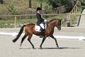 IMG_1763_resize