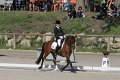 IMG_1781_resize