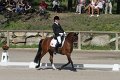 IMG_1782_resize