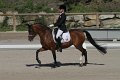 IMG_1793_resize