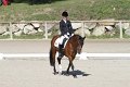 IMG_1803_resize
