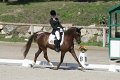 IMG_1845_resize