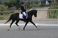IMG_1854_resize