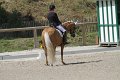 IMG_1895_resize
