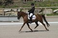 IMG_1908_resize