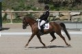 IMG_1910_resize