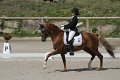 IMG_1949_resize