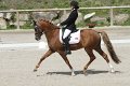 IMG_1993_resize