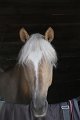IMG_2887_resize