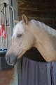 IMG_2890_resize