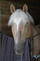 IMG_2891_resize