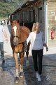 IMG_2895_resize