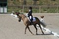 Dressage