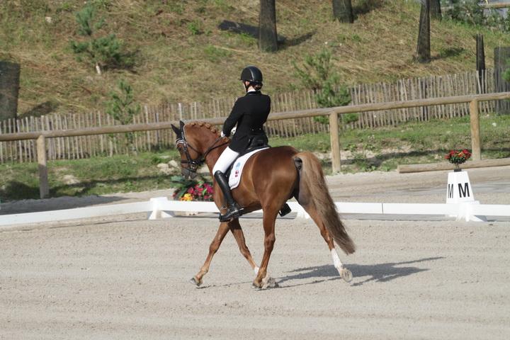 IMG_3023_resize.JPG