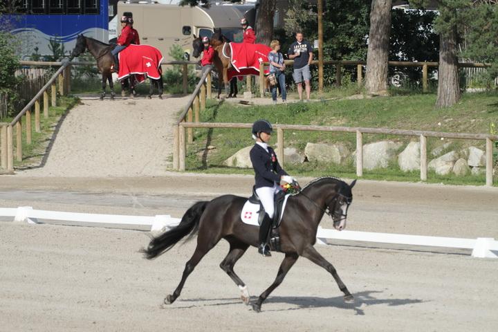 IMG_3145_resize.JPG
