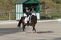 IMG_2938_resize
