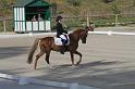 IMG_2987_resize
