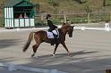 IMG_2988_resize
