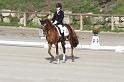 IMG_2991_resize