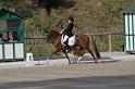 IMG_2994_resize