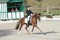 IMG_3001_resize