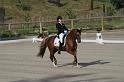 IMG_3002_resize