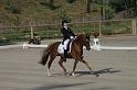 IMG_3003_resize