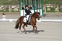 IMG_3011_resize