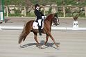 IMG_3013_resize