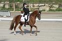 IMG_3015_resize