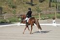 IMG_3023_resize