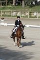 IMG_3038_resize