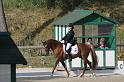 IMG_3047_resize